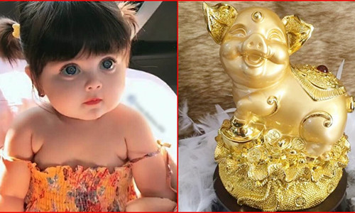 Thuc hu sinh con nam Ky Hoi 2019 la bat duoc heo vang