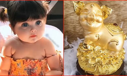 Thuc hu sinh con nam Ky Hoi 2019 la bat duoc heo vang