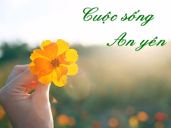 Phat day 3 triet li sau sac giup cuoc song an yen