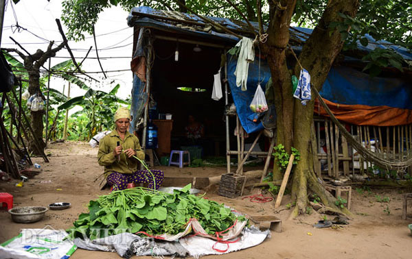 Ở trên đảo, những cư dân ở đây nhặt nhạnh vải bạt, sắt thép xây dựng còn sót lại, vá víu để dựng lên cho mình những căn lều có thể trú nắng mưa.Nhặt xong rau bí, hai người phụ nữ cẩn thận xếp rau vào thùng xốp. Cứ một lớp rau lại một lớp đá lạnh để giữ cho rau tươi ngon, không héo.