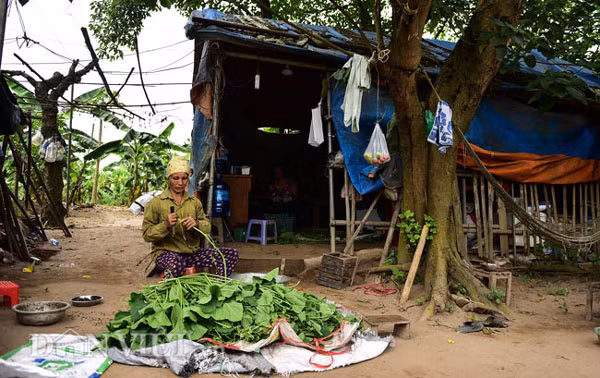 Ở trên đảo, những cư dân ở đây nhặt nhạnh vải bạt, sắt thép xây dựng còn sót lại, vá víu để dựng lên cho mình những căn lều có thể trú nắng mưa.Nhặt xong rau bí, hai người phụ nữ cẩn thận xếp rau vào thùng xốp. Cứ một lớp rau lại một lớp đá lạnh để giữ cho rau tươi ngon, không héo.