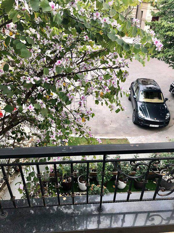 Trong một số bức ảnh được chia sẻ, có thể thấy diện tích căn biệt thự của gia đình Mỹ Dung rất rộng. Ngoài phần tòa nhà chính là cả một khoảng sân rộng rãi, thoáng đãng. Mỹ Dung trang trí cho khoảng sân vườn của gia đình bằng những chậu hoa rực rỡ sắc màu. Nữ ca sĩ cho biết, ngoài việc đam mê ca hát cô còn rất thích trồng và chăm sóc hoa. Loại hoa được trồng nhiều nhất trong căn biệt thự của vợ chồng Mỹ Dung chính là hoa hồng.