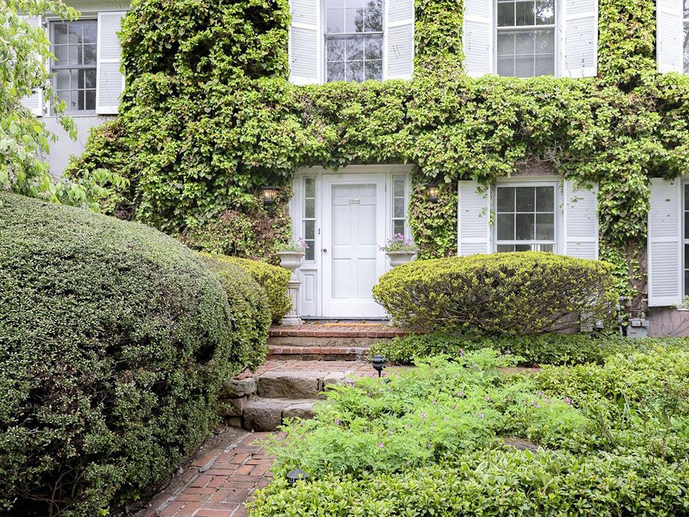 Biệt thự rộng hơn 370 m2 với 4 phòng ngủ và 4 phòng tắm. Nó được gọi là "Ivy House" vì được trang trí bởi những dây thường xuân bám khắp các bức tường nhà.