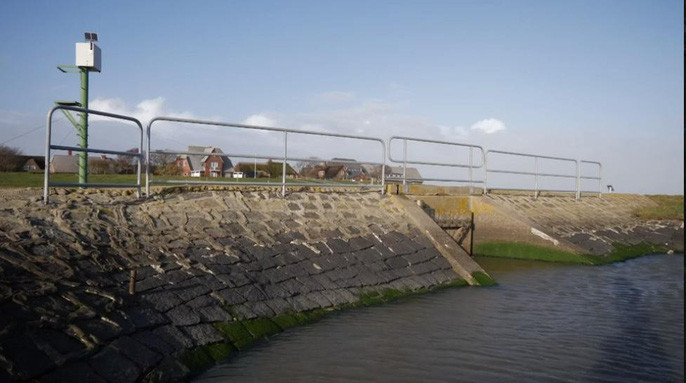 16 cu dan tren hon dao nho thach thuc bien ca-Hinh-2