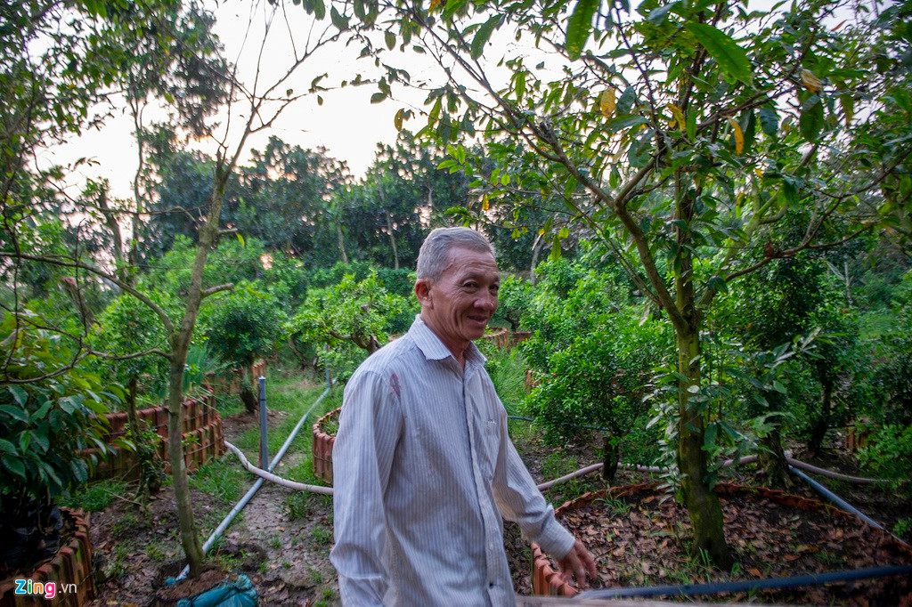 Ông cho biết dịp tết 2020 sắp tới, ông sẽ xuất bán một ít cây theo đặt hàng của những người chơi hoa kiểng mà ông thân quen.