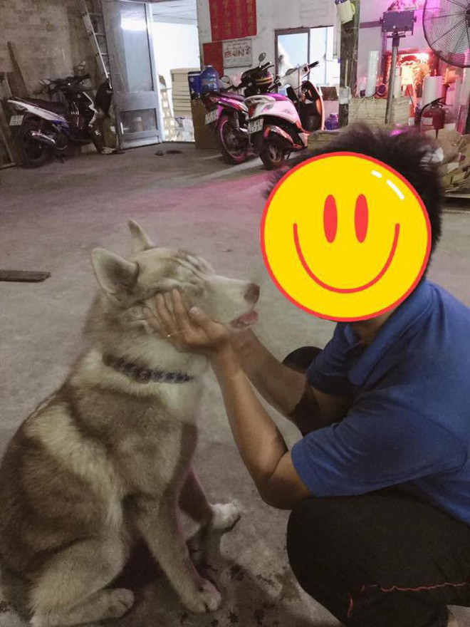 Vo ngao ngan dang anh chong va 