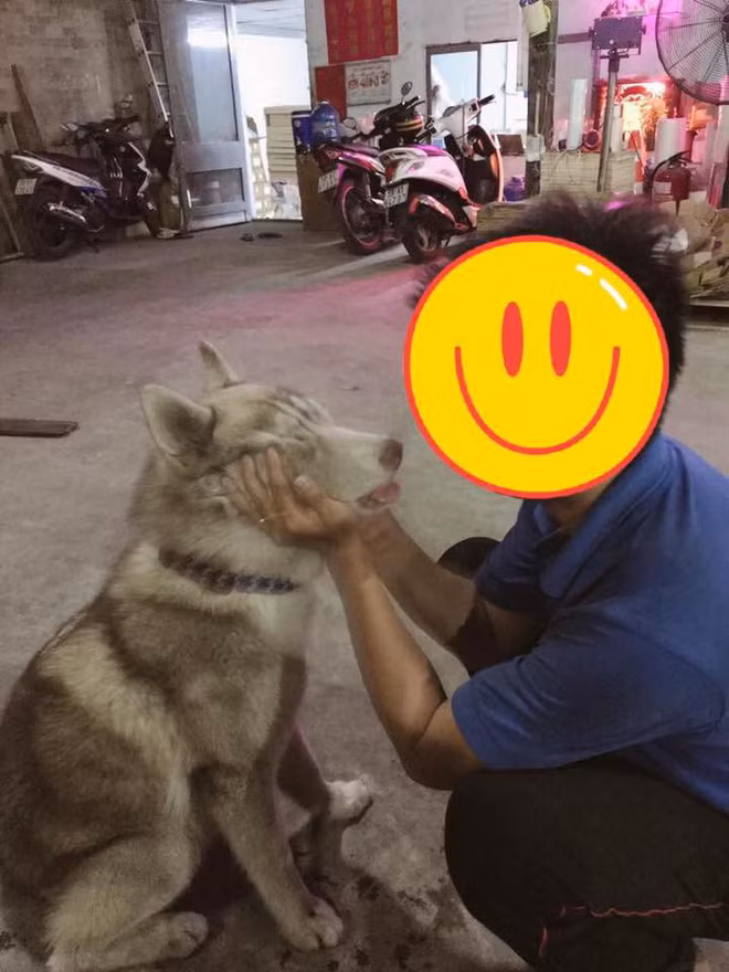 Vo ngao ngan dang anh chong va 