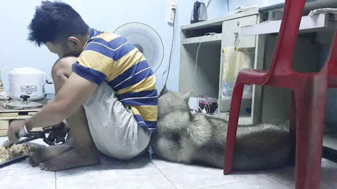 Vo ngao ngan dang anh chong va 