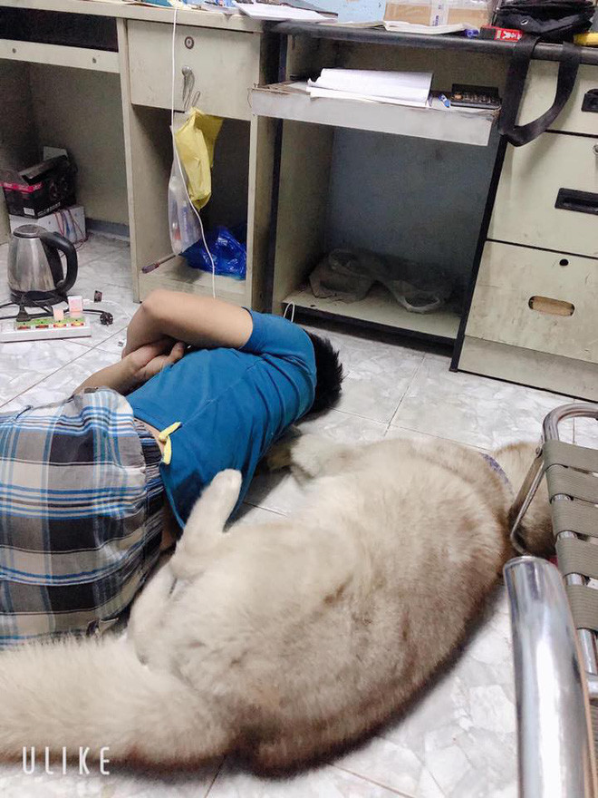 Vo ngao ngan dang anh chong va 