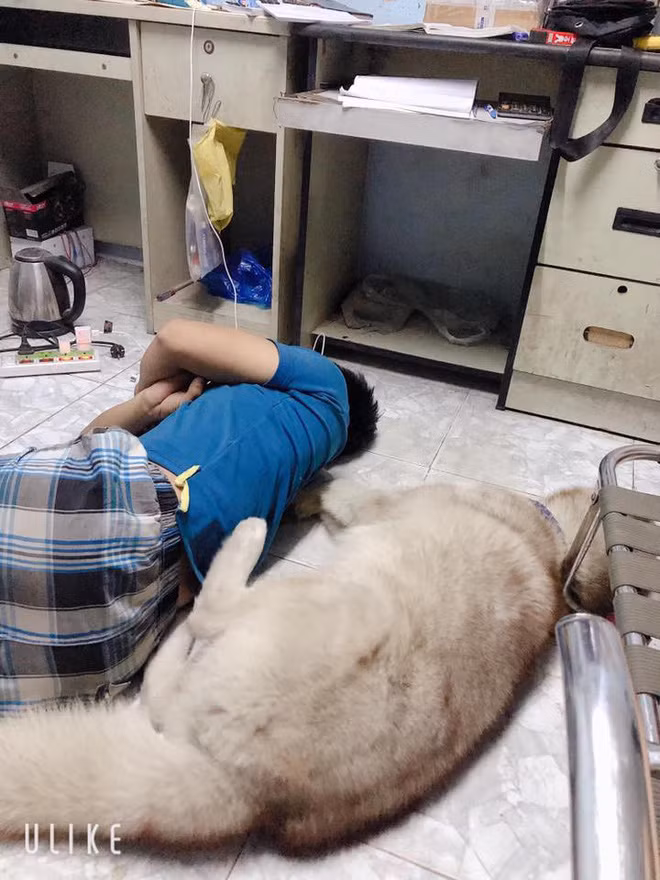 Vo ngao ngan dang anh chong va 