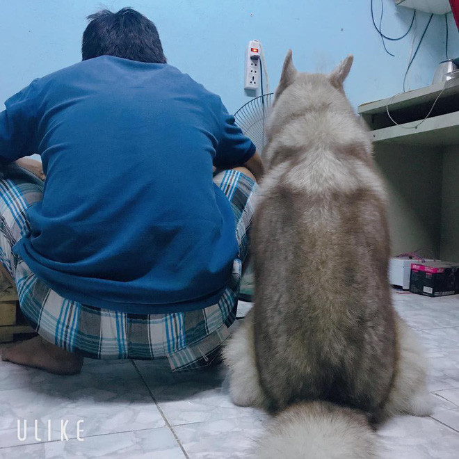 Vo ngao ngan dang anh chong va 