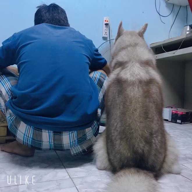 Vo ngao ngan dang anh chong va 