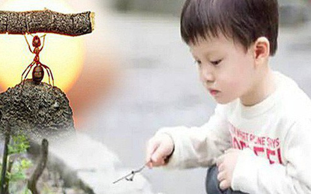 Vi ty phu nhan ra bai hoc nho doi tu mot dua tre