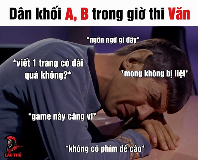 Đề thi rơi vào tác phẩm khó học khiến nhiều thí sinh học chuyên môn Tự nhiên phải rơi vào tình huống khó xử. "Đã không học chuyên Văn còn đố mình ai đã đặt tên cho dòng sông, thật không nói nên lời", Hoàng Hiệp (19 tuổi, TP.HCM) nói. Ảnh: Cao Thủ.