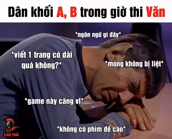 Đề thi rơi vào tác phẩm khó học khiến nhiều thí sinh học chuyên môn Tự nhiên phải rơi vào tình huống khó xử. "Đã không học chuyên Văn còn đố mình ai đã đặt tên cho dòng sông, thật không nói nên lời", Hoàng Hiệp (19 tuổi, TP.HCM) nói. Ảnh: Cao Thủ.