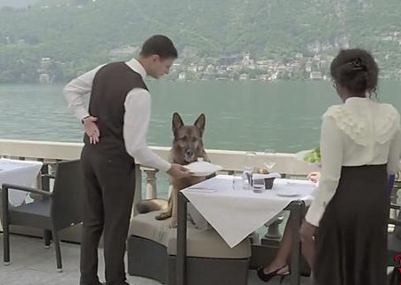 Bat ngo voi chu cho giau nhat the gioi so huu tai san khung-Hinh-2