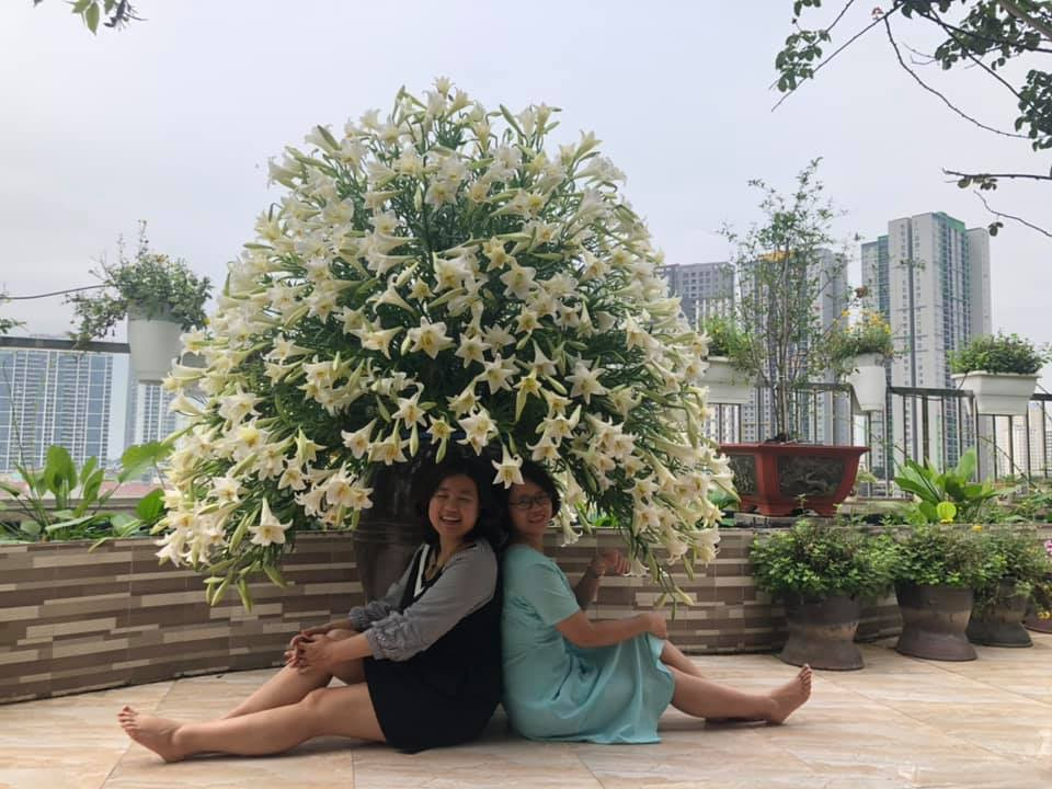 Cả bình hoa loa kèn bung nở trắng muốt rực cả một góc nhà trên tầng thượng khiến bạn bè, người thân tới chơi đều không nỡ rời mắt.