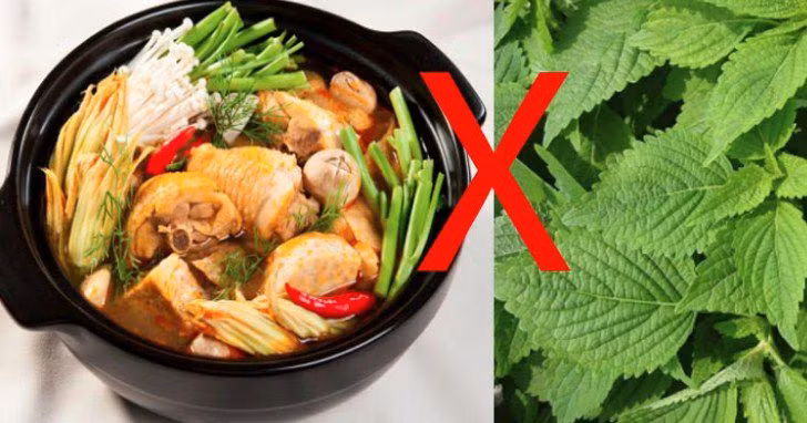 Loai rau khong duoc tha vao noi lau keo sinh ra chat kich doc