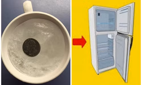 Di xa nha vai ngay, ban nen dat 1 dong xu vao tu lanh vi ly do nay