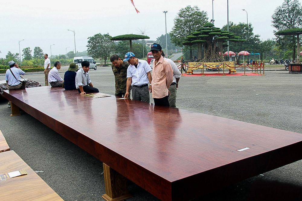 Tấm phản làm từ gỗ cẩm Kevazingo Được biết, tấm phản có xuất xứ từ Nam Phi, dài 9m và chế tác trong thời gian gần 1 tháng. Chủ nhân tấm phản này “thét” giá hơn 1,9 tỉ đồng. Ảnh: Phan Anh