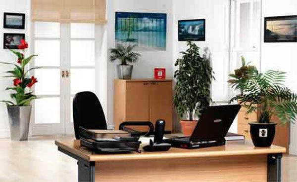 Bi kip phong thuy ban lam viec mang lai may man