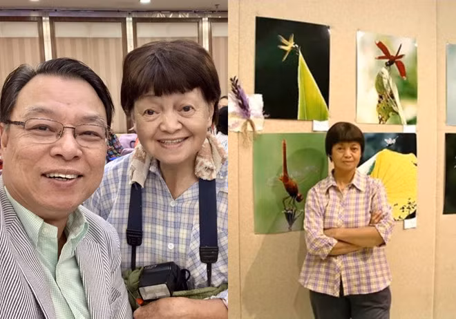 Chi gai Chau Nhuan Phat bi nham lan la an xin