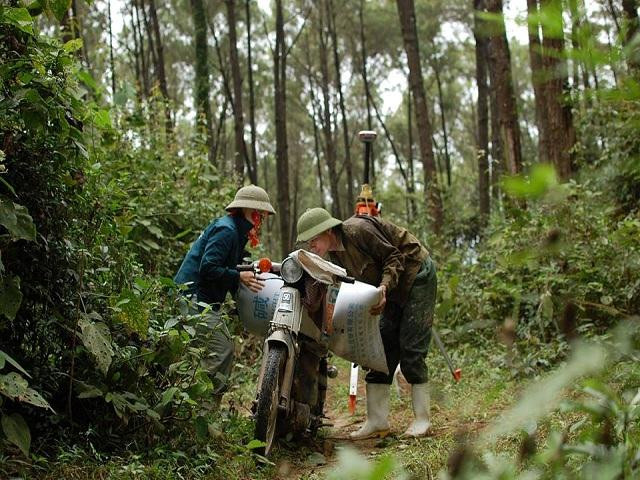 Di cao nhua thong, cang len nui cao cang so set danh-Hinh-2