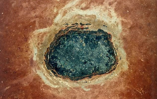 Tieu hanh tinh 150km dam vao Trai dat, hang loat sinh vat moi ra doi