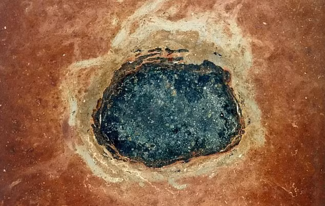 Tieu hanh tinh 150km dam vao Trai dat, hang loat sinh vat moi ra doi