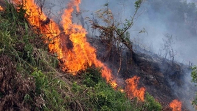 Cu ba 83 tuoi chet tham sau khi dot dam say gan nha