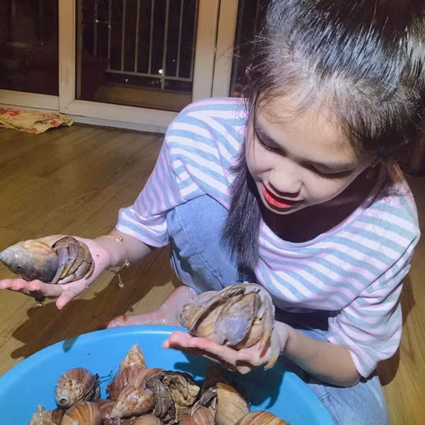 Loai oc la gia 2-3 trieu/con nguoi Viet van do tien mua-Hinh-2