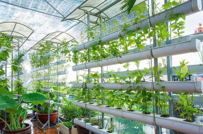 Ngoài ra, cô cho biết, căn biệt thự nhà mình còn được lắp đặt hệ thống thang máy và có 3 chốt bảo vệ giữ an toàn tuyệt đối.