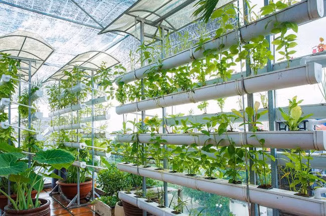 Ngoài ra, cô cho biết, căn biệt thự nhà mình còn được lắp đặt hệ thống thang máy và có 3 chốt bảo vệ giữ an toàn tuyệt đối.