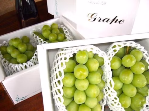 Nho Shine Muscat của Nhật Bản, hay còn gọi là nho mẫu đơn xanh, hiện đang cháy hàng ở Hà Nội dù giá tiền triệu mỗi kg. (Nguồn: Dân trí)