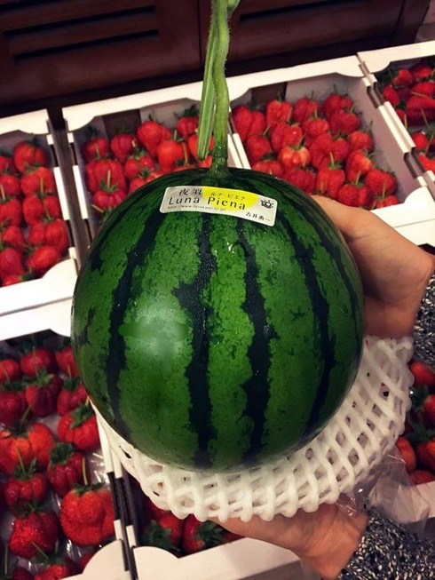 Dưa hấu Nhật (dưa Luna Piena) có mức giá cao gấp hàng trăm lần so với dưa Việt Nam song vẫn "hút" người mua. (Nguồn: Dân trí)