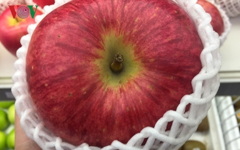 Thị trường Việt cũng xuất hiện nhiều loại táo từ Nhật Bản với giá cả khá đắt đỏ. (Nguồn: VOV.VN)