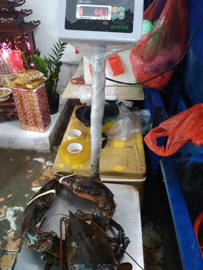 Vì hàng luôn trong tình trạng “cháy” nên cửa hàng của anh không cần bảo quản gì nhiều.