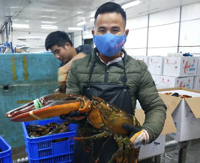 “Khách chủ yếu là các nhà hàng hải sản ở Hà Nội. Mỗi nhà hàng nhập từ hàng tạ một lần. Vì mỗi con tôm nặng trung bình khoảng 3-4kg nên 1 tạ cũng chỉ được khoảng 30 con. Nên họ thường nhập số lượng lớn để phục vụ thực khách”, anh cho hay. Bên cạnh đó, khách lẻ cũng tìm đến đặt mua tại cửa hàng của anh. Có người chi cả gần chục triệu đồng để mua một con tôm hùm nhập khẩu loại khủng nặng gần 7kg.