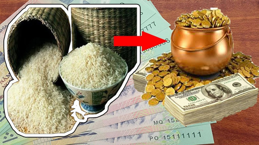 Vi tri chuan dat hu gao trong nha, gia chu tha ho thu loc