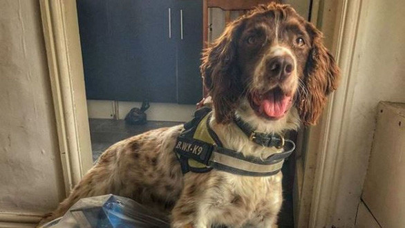 Chu cho bi mafia treo thuong 750 trieu dong de “lay dau”