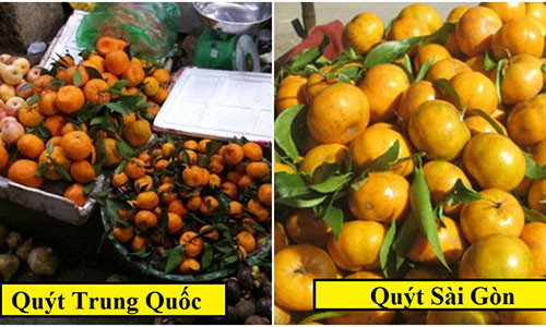 He lo bi mat loai quyt sieu ngot duoc giau kin nhu bung