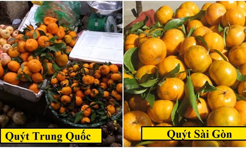 He lo bi mat loai quyt sieu ngot duoc giau kin nhu bung