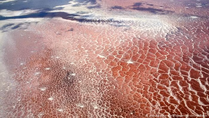 “Ho tu than do ruc” ky la - nghia dia cua hang nghin xac chet “hoa da”