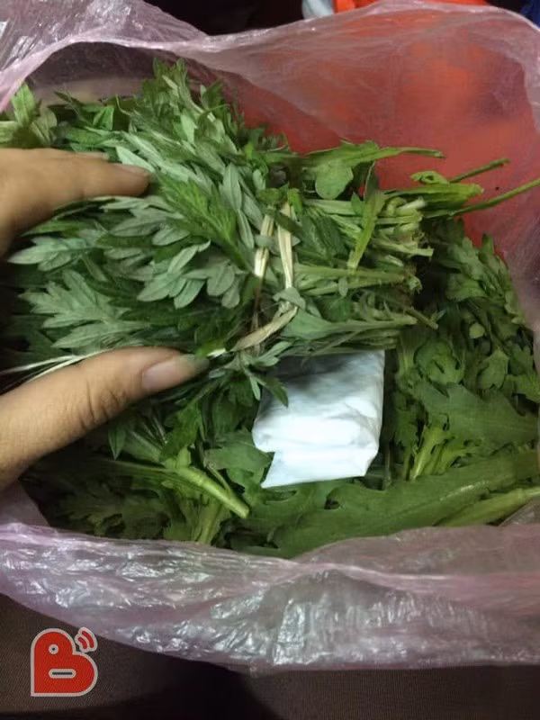 Bat khoc me giau ky 200k trong mo rau gui cho con hoc xa nha