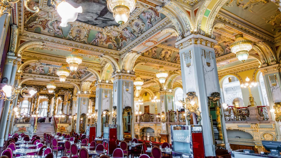 Tập đoàn Boscolo đã mua lại quán cà phê vào năm 2001 trong thời gian bị đóng cửa. Họ lên một kế hoạch chi tiết khôi phục lại nơi này trong 5 năm bằng sự tài năng của các kiến trúc sư Maurizio Papiri và Adam D. Tihany.