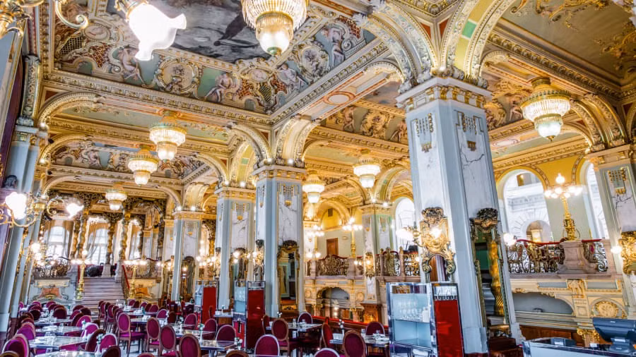 Tập đoàn Boscolo đã mua lại quán cà phê vào năm 2001 trong thời gian bị đóng cửa. Họ lên một kế hoạch chi tiết khôi phục lại nơi này trong 5 năm bằng sự tài năng của các kiến trúc sư Maurizio Papiri và Adam D. Tihany.