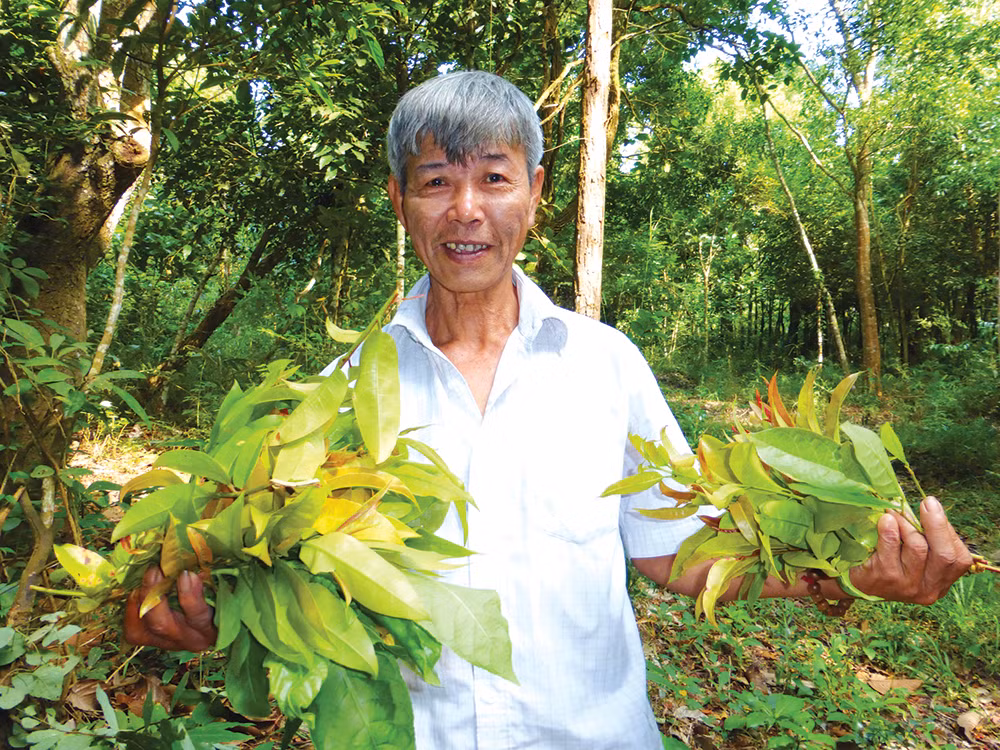 Vuot qua thu du, ran doc, hai rau rung kiem tien trieu