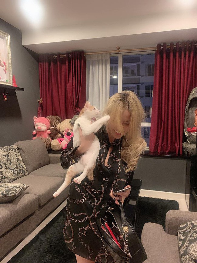 Thực tế cho thấy, bên cạnh sự nghiệp ca hát nổi bật với nhiều ca khúc hit, Hoàng Thùy Linh còn ghi dấu ấn và gặt hái không ít thành công trên địa hạt phim ảnh. Hiện tại, cô đang là một trong những diễn viên chính của bộ phim truyền hình đình đám Cảnh sát hình sự - Mê cung. Chính vì vậy, cuộc sống đời thường của Hoàng Thùy Linh khá sung túc. Không chỉ sở hữu nhan sắc xinh đẹp làm mê đắm lòng người, nữ ca sĩ gốc Hà thành còn làm chủ khối gia tài đồ sộ ở tuổi 31. Hiện tại, cô đang sở hữu một căn hộ hạng sang ở quận 7 với lối thiết kế theo phong cách châu Âu (Ảnh: Internet)