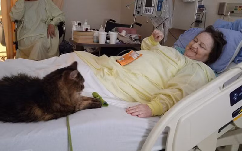 Sự an toàn của người bệnh không phải là điều duy nhất được chú trọng. Nhóm “Liệu pháp thú cưng” cũng phải đảm bảo sự an toàn của từng con vật trong mỗi chuyến thăm chủ nhân tại bệnh viện.