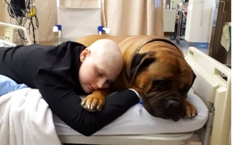 Những hình ảnh xúc động của bệnh nhân ung thư bên chú chó cưng của mình.